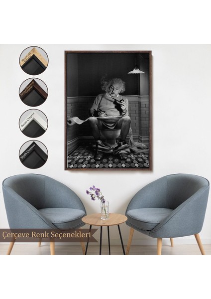 canvas Serie Albert Einstein - Tuvalette Pipo Içen Albert TABLO-7746 fırsatları