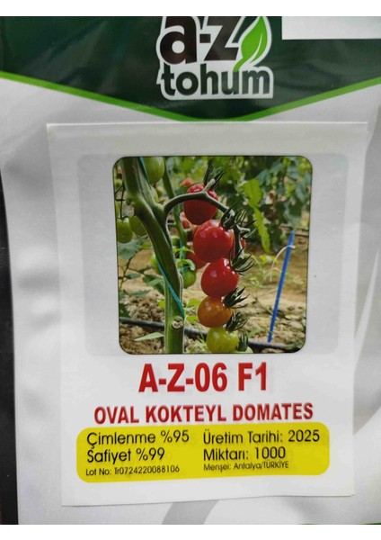 06 F1 Oval Hibrit Kokteyl Domates Tohumu 1.000 Adet