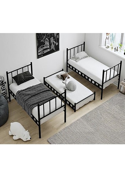 Zambak Yavrulu Genç Çocuk Odası Metal Ranza ve Karyola modelleri