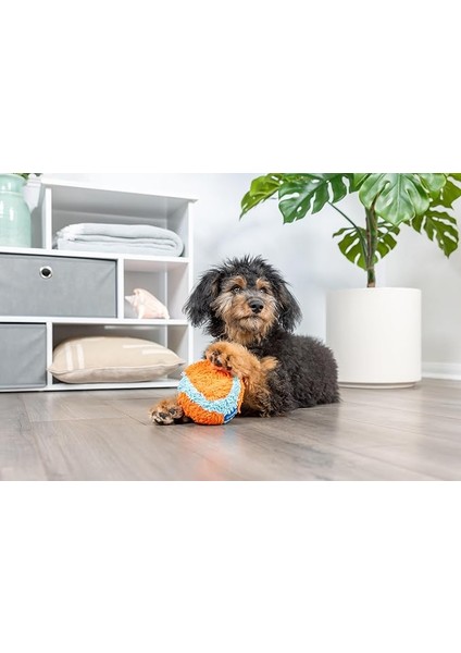 ! Indoor Fetch Ball Dog Toy