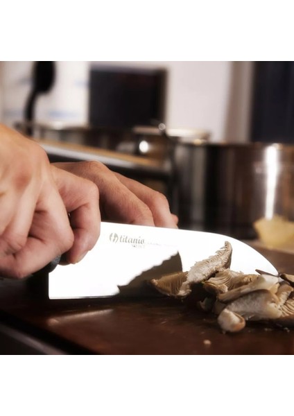 Titanio Ispanyol Malı Titanyum Şef Aşçı Bıçağı Profesyonel Chef Mutfak Bıçak Titanium 16 cm modelleri