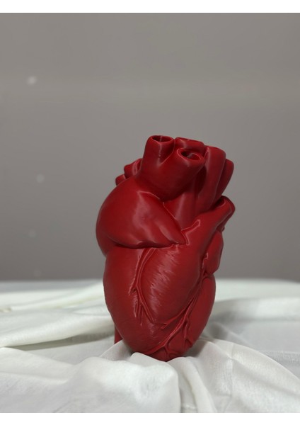 Anatomik Kalpli Vazo 23 cm