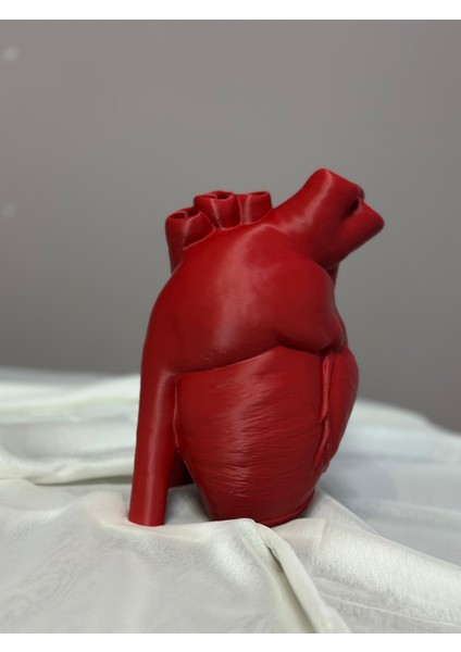 Anatomik Kalpli Vazo 23 cm