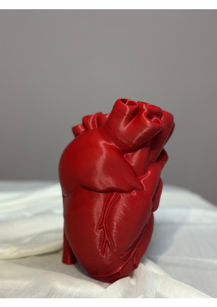 Anatomik Kalpli Vazo 23 cm