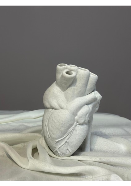 Anatomik Kalpli Vazo 18 cm