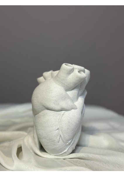 Anatomik Kalpli Vazo 18 cm