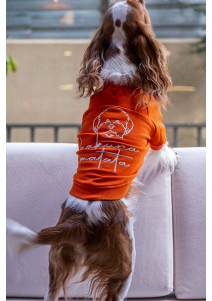 Hakuna Matata Köpek Sweatshirt