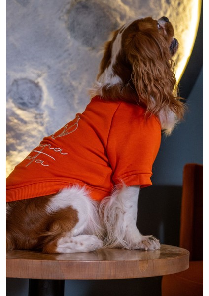 Hakuna Matata Köpek Sweatshirt