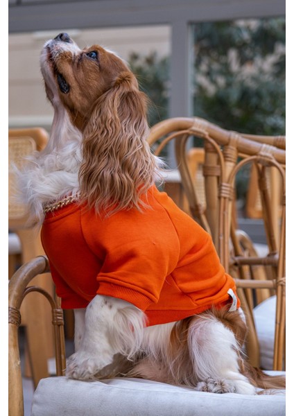 Hakuna Matata Köpek Sweatshirt