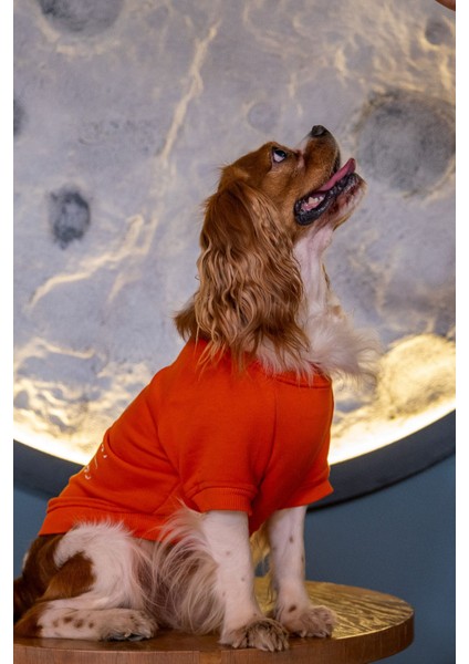 Girift Köpek Sweatshirt
