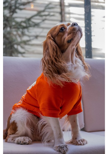 Girift Köpek Sweatshirt fiyatları