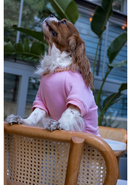 Hakuna Matata Köpek Sweatshirt