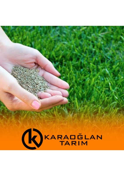 7 Günde Çimlenen 7'li Karışım Basmaya ve Soğuklara Dayanıklı Çim Tohumu 5 kg
