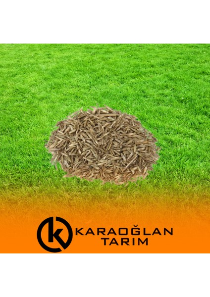 7 Günde Çimlenen 7'li Karışım Basmaya ve Soğuklara Dayanıklı Çim Tohumu 5 kg