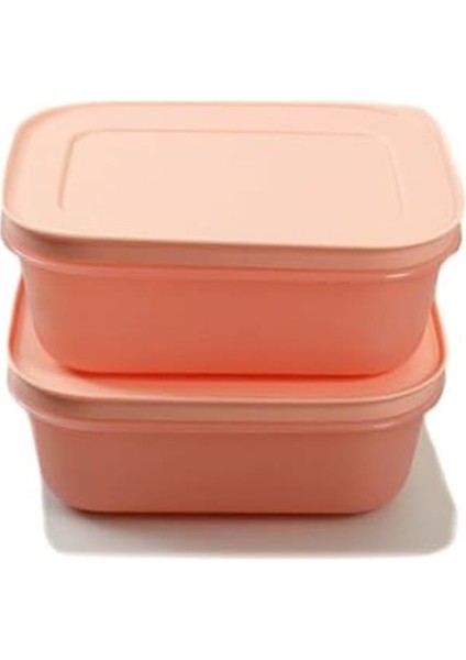 shtm Tupperware Dondurucu Kabı 450 ml (2) Pembe Düz Buz Kristali Buz Kristali Byrnew