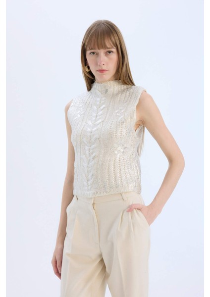 Regular Fit Yarım Balıkçı Yaka Parlak Triko Süveter E5571AX24CW modelleri