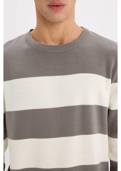 Standart Fit Bisiklet Yaka Çizgili Triko Kazak D1968AX24AU fırsatları