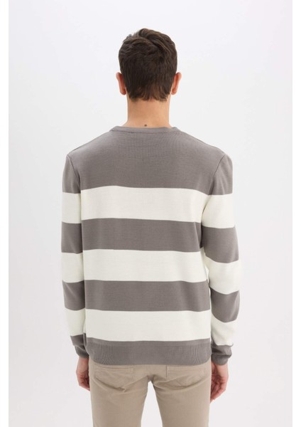 Standart Fit Bisiklet Yaka Çizgili Triko Kazak D1968AX24AU indirimleri