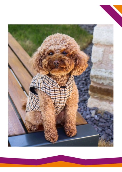Yelek Köpek Çizgili Shelby Kolsuz Kıyafet modelleri