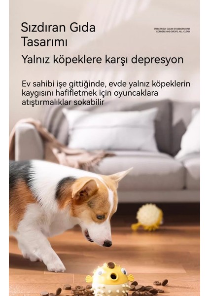 Köpekler Sıkma ve Diş Çıkarma Giderici (Yurt Dışından)