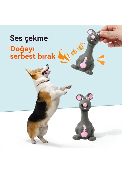 Evcil Hayvan Ses Oyuncakları (Yurt Dışından) modelleri