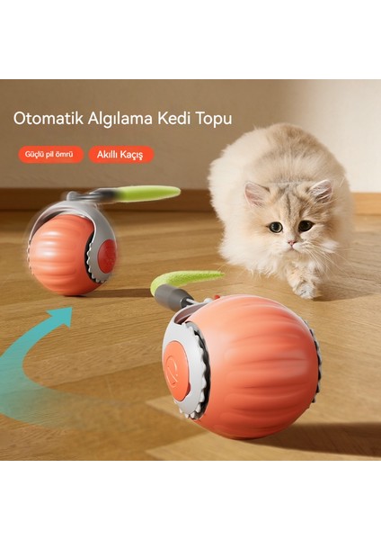 Pet Elektrikli Akıllı Indüksiyon Topu (Yurt Dışından) fiyatları