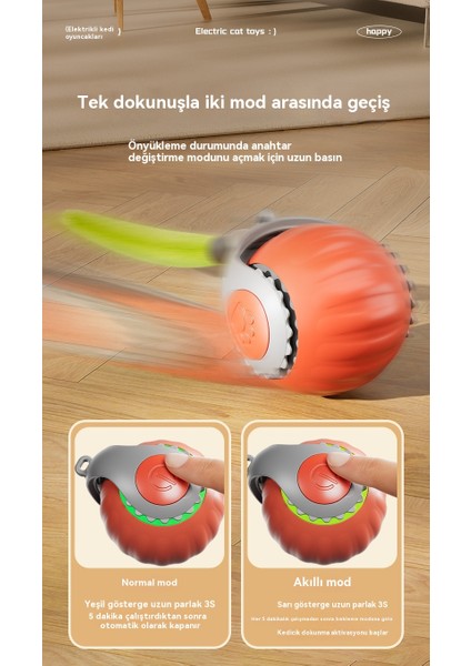 Pet Elektrikli Akıllı Indüksiyon Topu (Yurt Dışından) modelleri