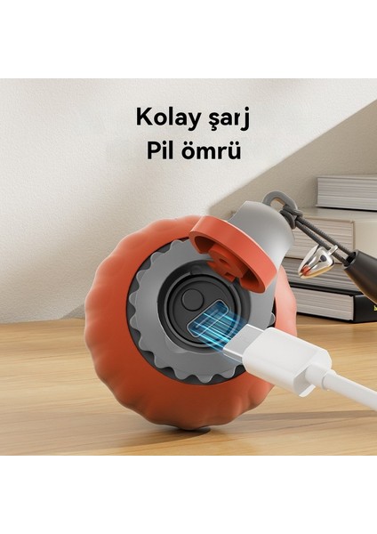 Pet Elektrikli Akıllı Indüksiyon Topu (Yurt Dışından) fırsatları