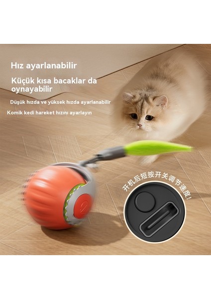 Pet Elektrikli Akıllı Indüksiyon Topu (Yurt Dışından) indirimleri