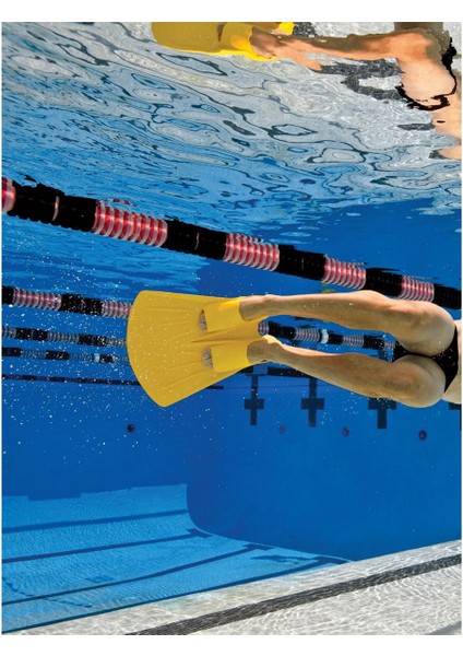 Finis Teknik Foil Monofin Ayak Paleti, Sarı Ayak Palet, Foil Monofin fiyatları