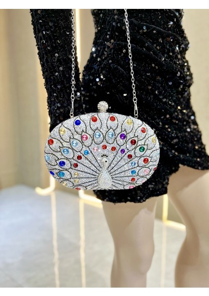 Yüksek Kaliteli Debriyaj ve Akşam Yemeği Partisi Omuz Çapraz Askılı Çanta-1 (Yurt Dışından) fiyatları