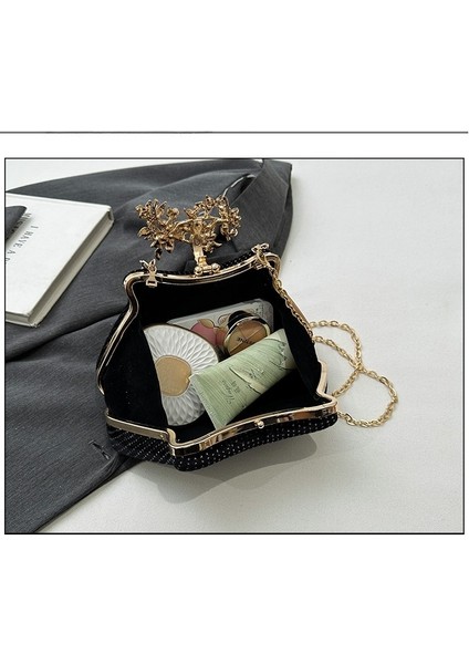 Kadın Premium Inci Zincir Çapraz Askılı Çanta (Yurt Dışından) fırsatları