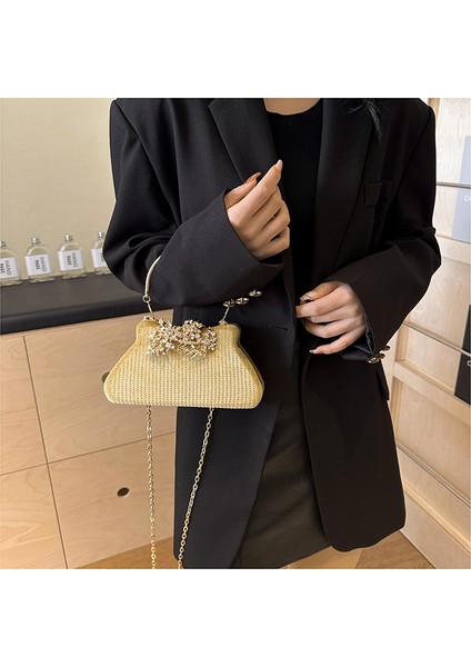 Kadın Premium Inci Zincir Çapraz Askılı Çanta (Yurt Dışından) fiyatları