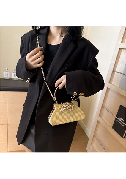 Kadın Premium Inci Zincir Çapraz Askılı Çanta (Yurt Dışından) modelleri