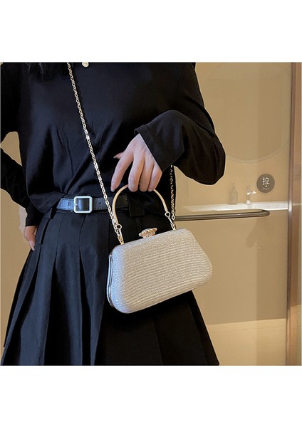 Bayanların Zinciri Omuz Çantası (Yurt Dışından) fiyatları