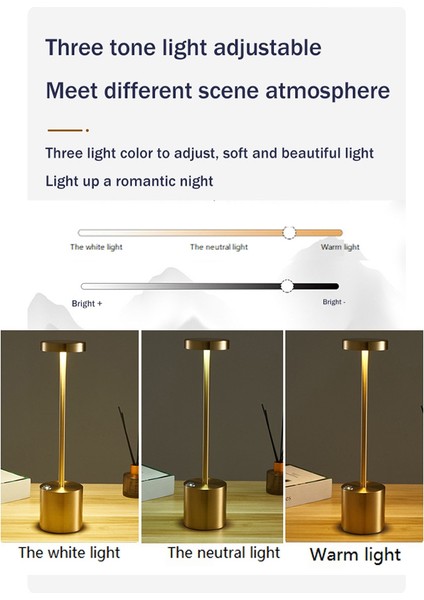 Iskandinav Masa Lambası LED Dokunmatik Masa Lambası Otel Cafe Dekorasyon Masa Lambası USB Gece Lambası Gül-Altın (Yurt Dışından)