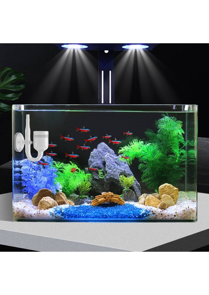 Akvaryum Balık Tankı Co2 Difüzör Karbondioksit Reaktörü Seramik Diskli + 2 Suckers (Yurt Dışından)