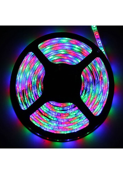 5 Metre 3528RGB Şerit Işık Kiti +44 Tuşlar Uzaktan Kumanda Su Geçirmez LED Şerit Plaka Renk Rastgele (Yurt Dışından)