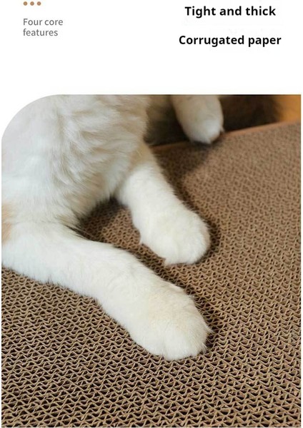 Kedi Tırmalama Tahtası Dikeydir ve Çıkarılabilir (Yurt Dışından) modelleri