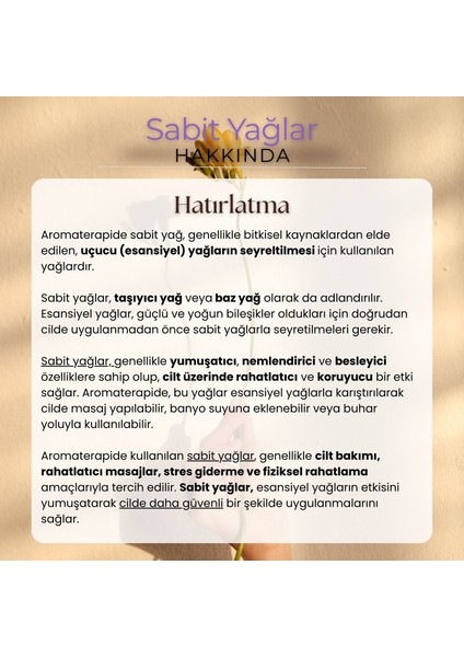 Kayısı Çekirdeği Yağı Soğuk Sıkım 20 ml %100 Saf ve Doğal Apricot Kernel Carrier Oil