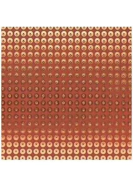 Plaket Delikli 100X150