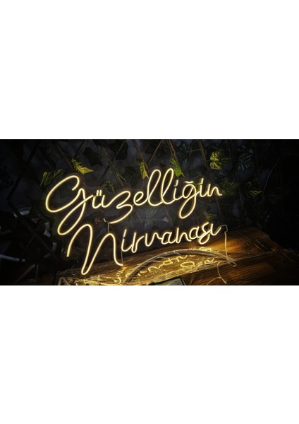 Cizgineon Güzelliğin Nirvanası Işıklı Neon LED Duvar Dekarasyon 65*40 CM