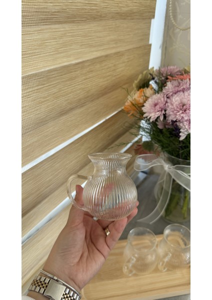 6 Kişilik Keyfi Ala Çizgili Borosilikat Cam Kulplu Çay Bardağı 180ml