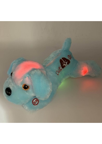 Led Işıklı Sevimli Papa Köpek Büyük Köpek Bebek Işıklı Oyuncak (Yurt Dışından)