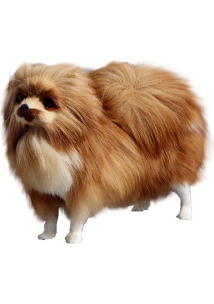 Simülasyon Modeli Simülasyon Pomeranian Köpek Modeli Oyuncaklar (Yurt Dışından)