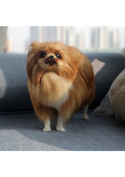 Simülasyon Modeli Simülasyon Pomeranian Köpek Modeli Oyuncaklar (Yurt Dışından)