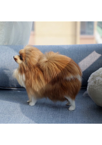 Simülasyon Modeli Simülasyon Pomeranian Köpek Modeli Oyuncaklar (Yurt Dışından)