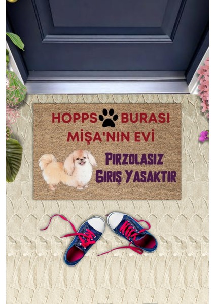 Kapı Önü Paspası Dekoratif Dijital Baskı Hopps P-2474