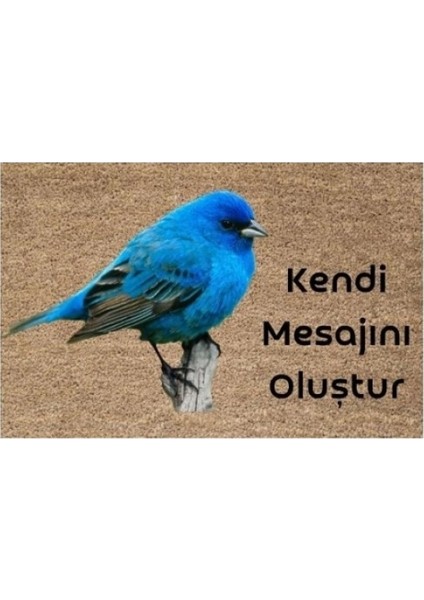 Dijital Baskı Kişiye Özel Iç Kapı Dekorasyon Paspas PS11233