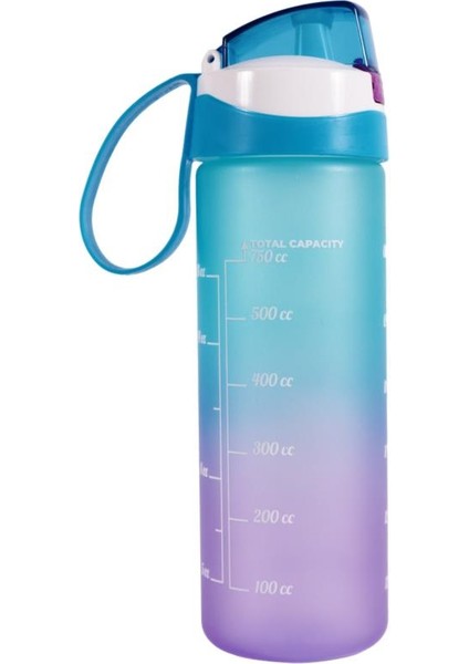 161670-832 Motivasyon Desenli Matara 750 ml fiyatları